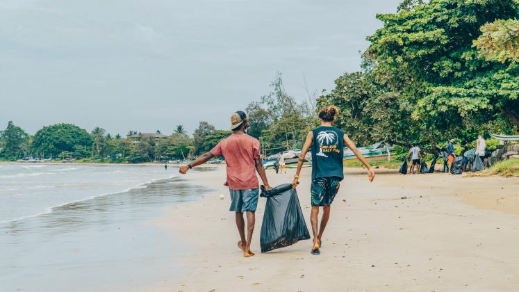 Beach cleanup