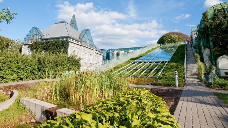 Vegetable gardens and solar panels in a university campus.