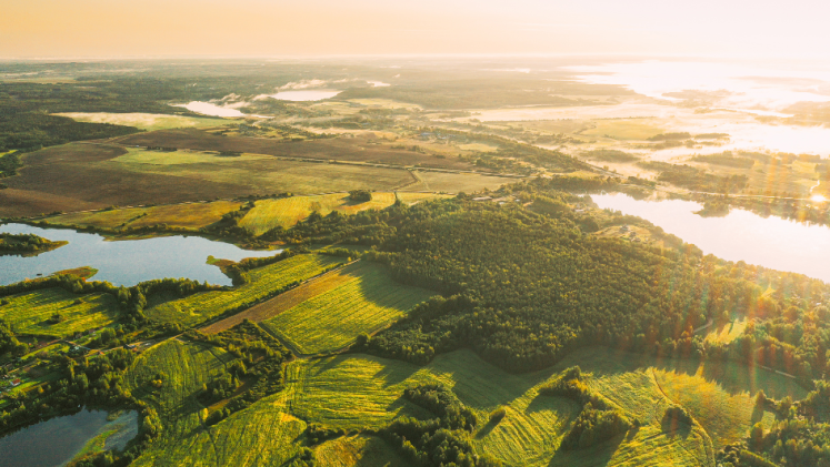 Aerial image of land