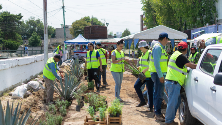 People working with plants on a roadside.