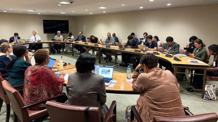 Participants at a UNU event at the 2025 UN High-Level Political Forum on Sustainable Development