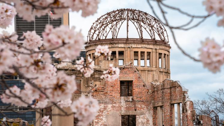 Hiroshima atomic bomb dome and cherry blossoms
