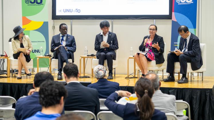 Governance in the Digital Era: Lessons for Africa - UNU and Egypt TICAD 9 thematic event