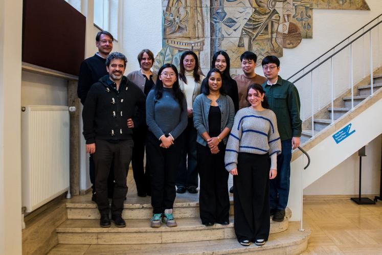 The UNU-DTSD Program