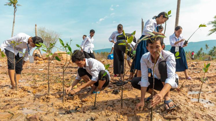 Students planting mangrove trees in Cambodia