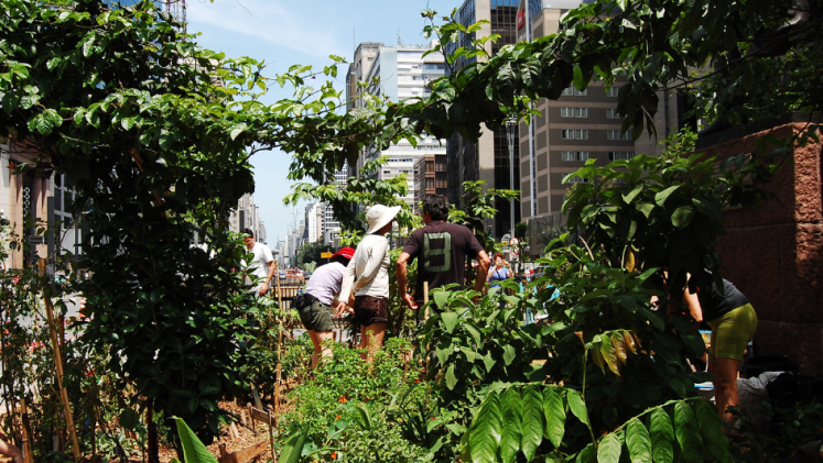 People planting an urban green space.