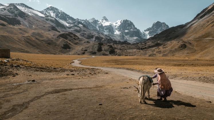 A woman and her donkey on a mountain road in a valley in the Andes.