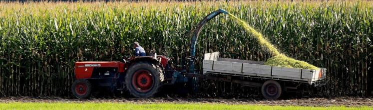 photo of a shredding machine in front of a field of corn