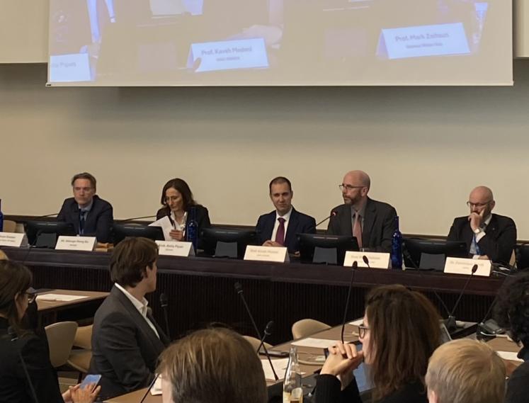 UNU‑INWEH Briefs the Group of Friends on Water and Peace in Geneva