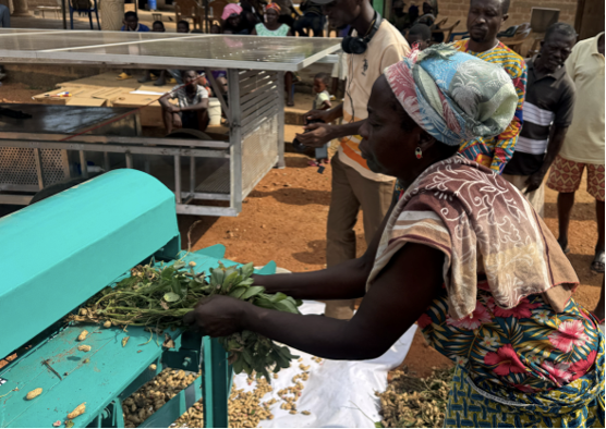 Smallholder farmer  testing INFoCAT renewable energy powered groundnut pod plucker in Gomoa(Central Region Ghana).png