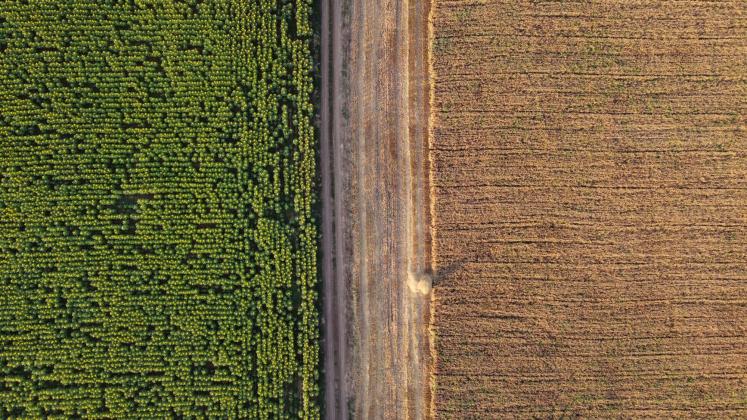 Aerial view highlighting contrasting green crops and harvested fields in rural Russia.
