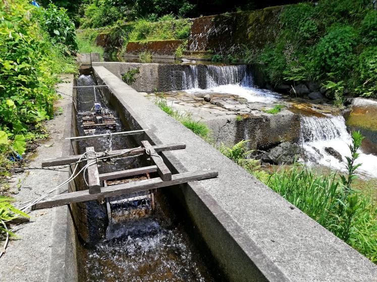 Irrigation system