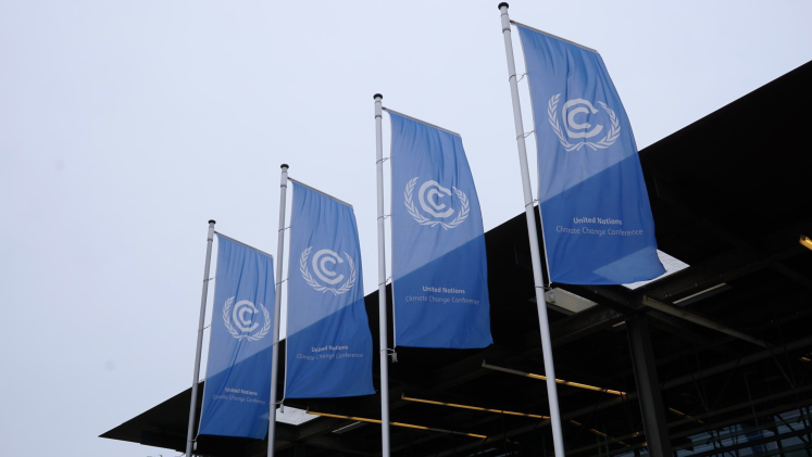 Four UN flags