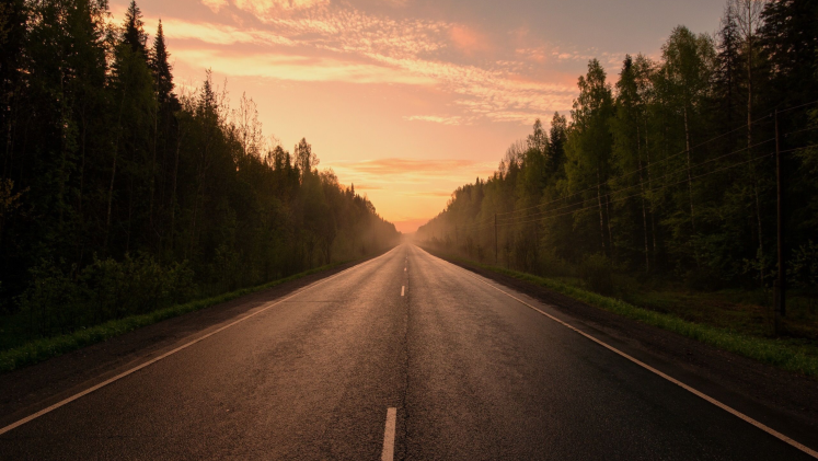 A highway going through a forest, with a sunset horizon.