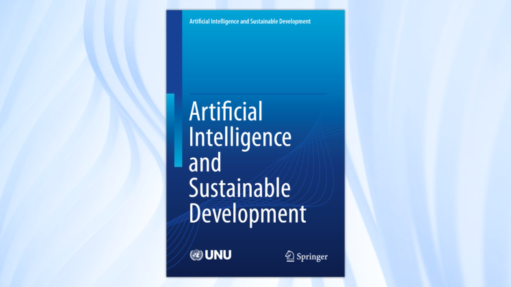 UNU Springer book series