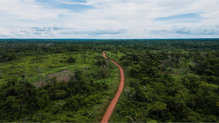 An aerial view of a road through a forest area in Africa 