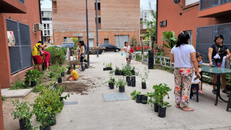 People planting shrubs and other plants in a street. 