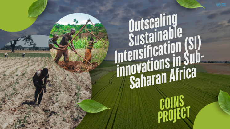 Outscaling SI in Subsharan Africa.png