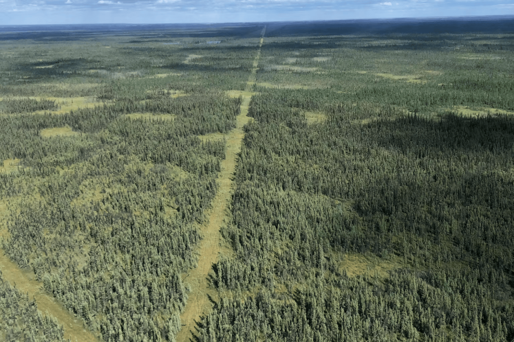 Industrial development is fragmenting Canadas boreal forest