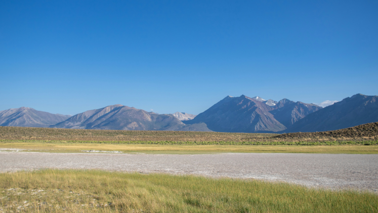 Grasslands with a mountain range in the background.