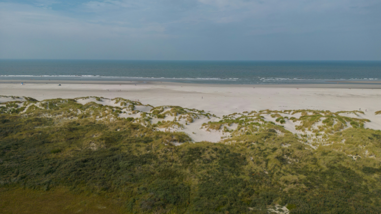 A dune with the beach and the Wadden Sea in the background. 