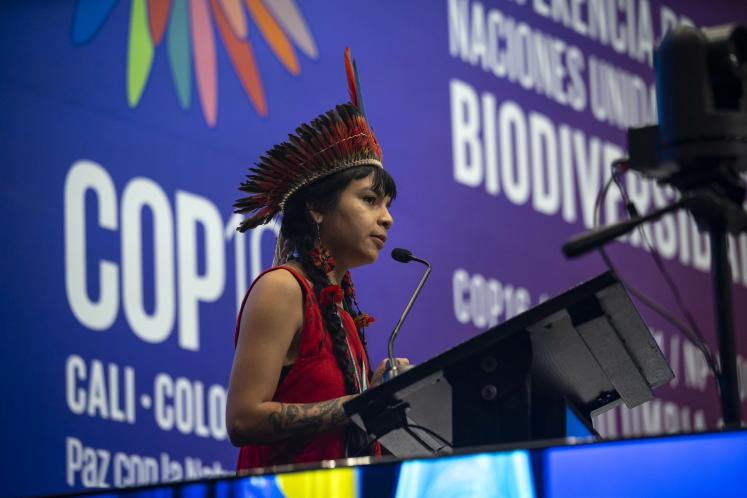 Indigenous woman