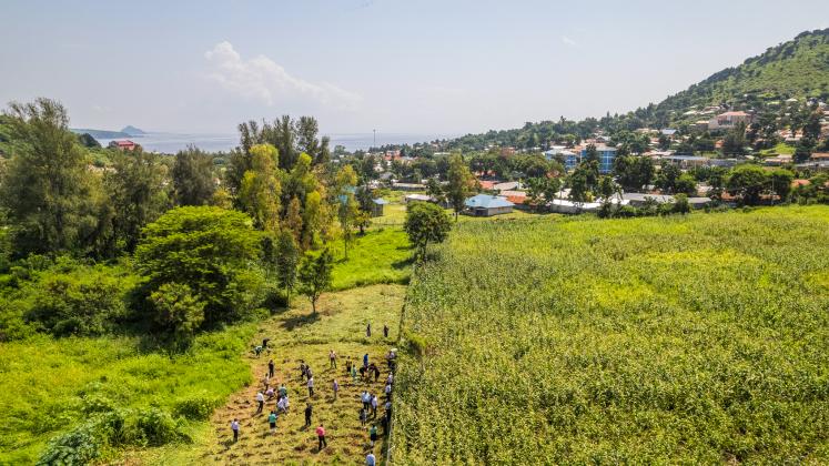 Land restoration in Kenya