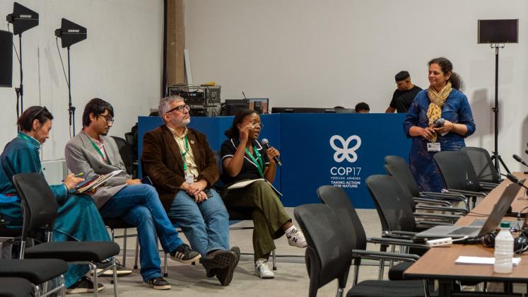 Funding for Sustainable Landscape Governance workshop participants at CBD COP17