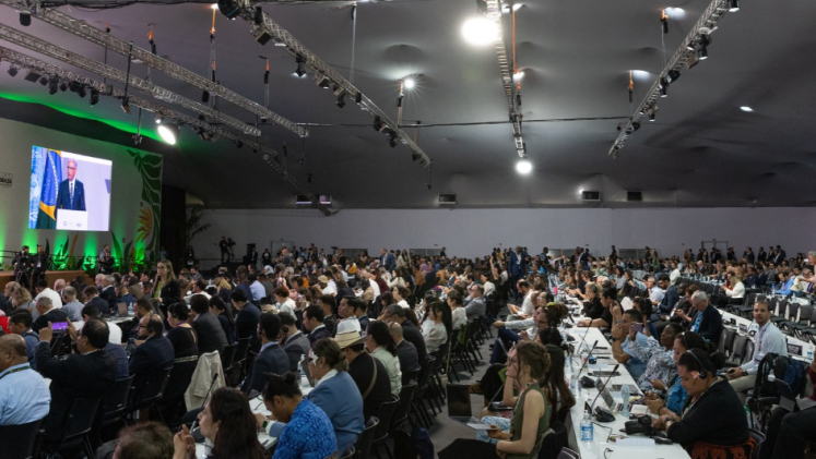 Side view of the plenary at COP 30