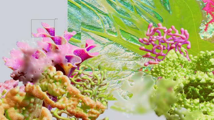 A colorful collage of abstract plant forms in a surreal, vibrant display of nature and science.