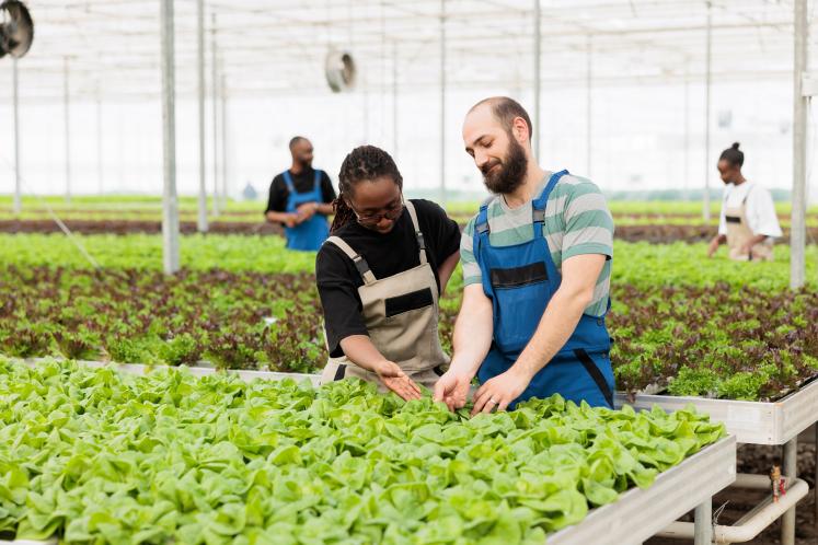 The launch marks an important milestone in establishing a global ecosystem for learning and engagement on sustainable food systems. 