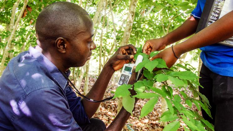 Transformative Pathways for Climate Action