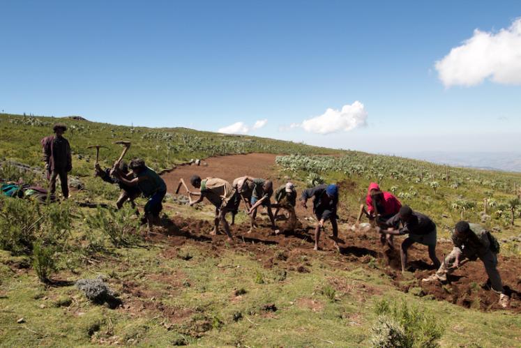Smallholders in Ethiopia
