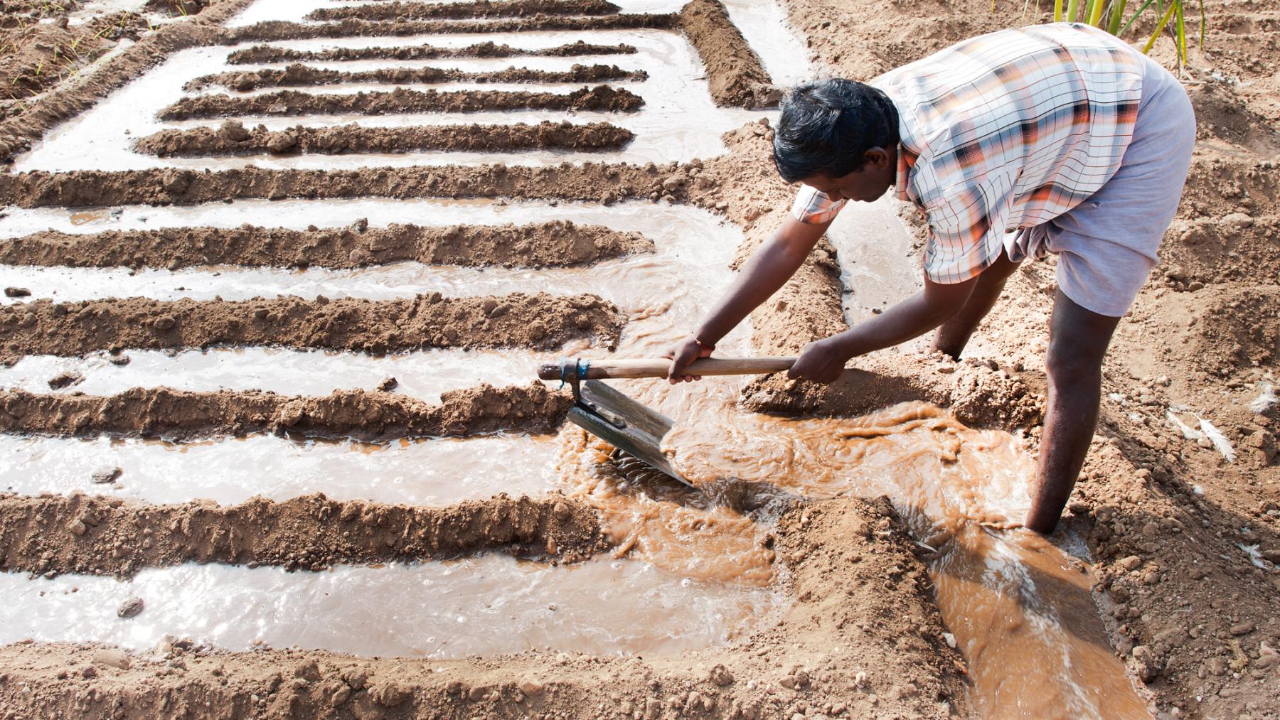 A farmer prepares his land for planting onions, in Salem, Tamil Nadu, India.