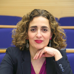 Professor Stella Ladi