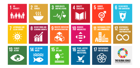 The 16 UN Sustainable Development Goals