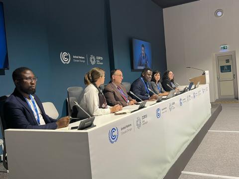 Dr. Ferdinand Tornyie representing UNU INRA at COP29 panel