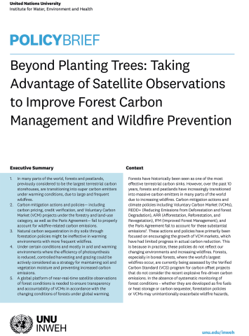 wildfire-policy-brief