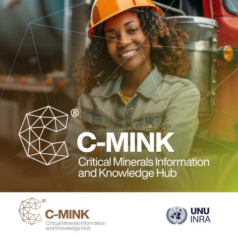 C-MINK - social3.jpg