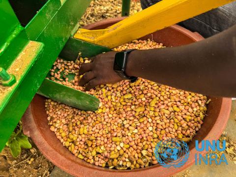 Piloting Innovations in Ghana and Senegal