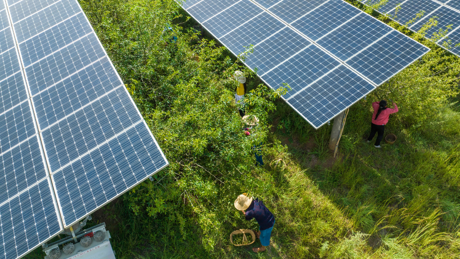 Optimizing Agricultural Land Use | United Nations University