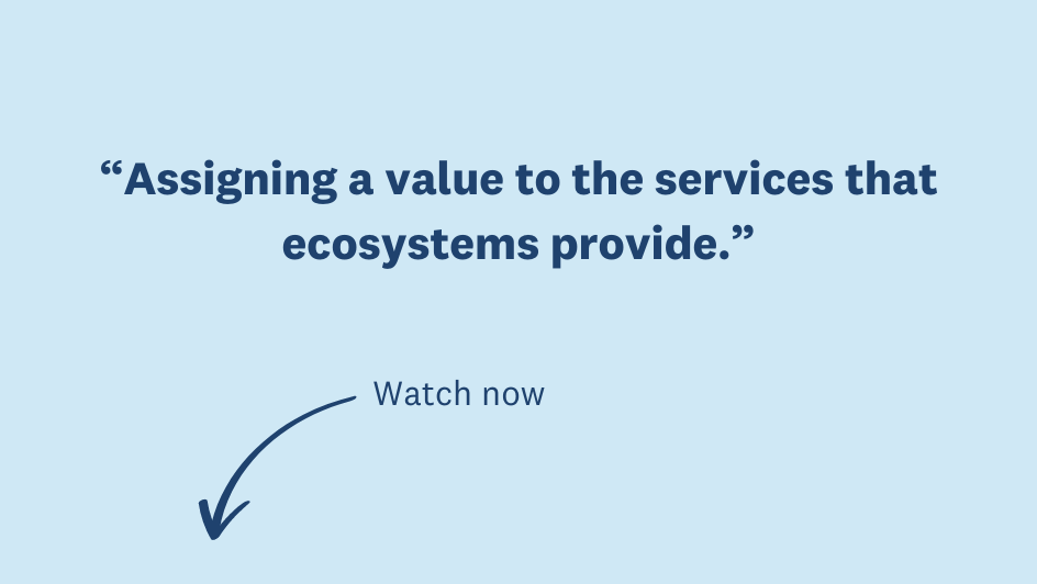 What is Ecosystem Valuation? | United Nations University