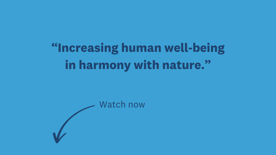 What are Nature-based Solutions (NbS)? | United Nations University