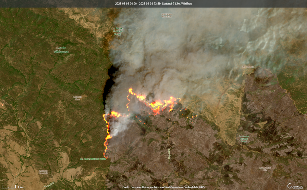 Wildfire disasters are increasingly in the news, yet less land is ...