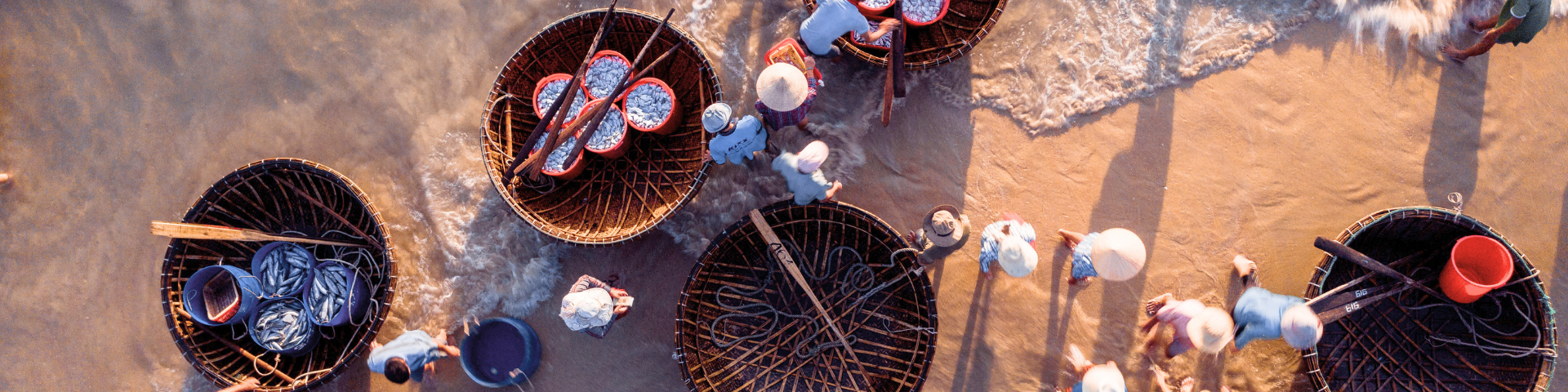 Aerial view of large baskets filled with smaller baskets of fish, by the coast
