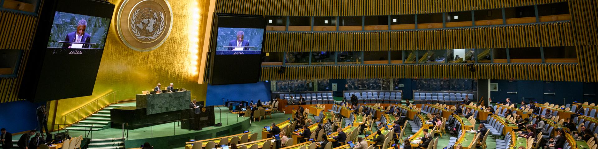 A wide view of the 39th plenary meeting of the General Assembly on Cooperation between the United Nations and regional and other organizations.
