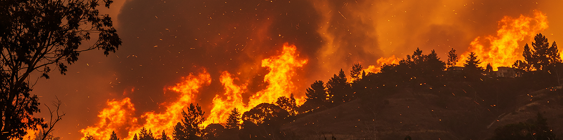 LA-Fire-Banner