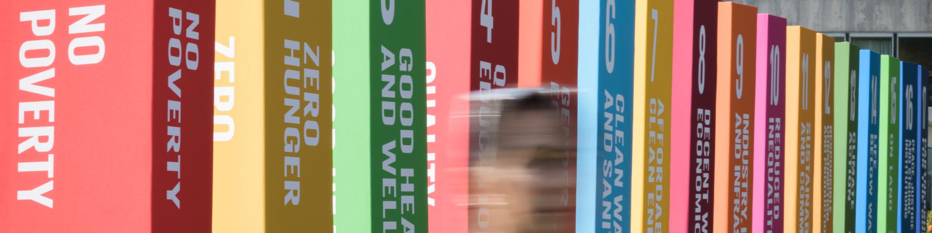 A scene from UN headquarters with SDG objects