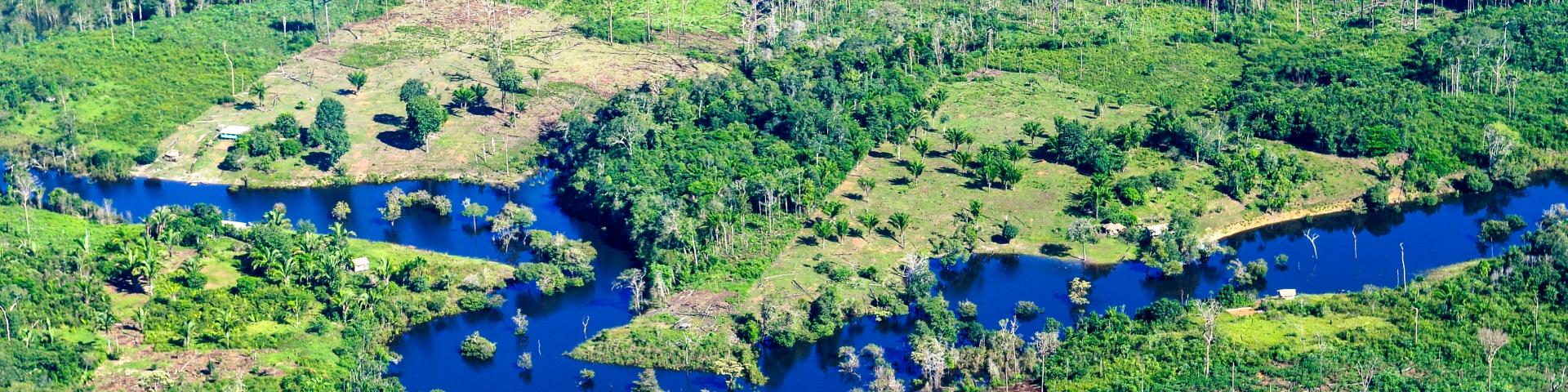 Aerial view of the Amazon Rainforest, near Manaus, the capital of the Brazilian state of Amazonas, Brazil.