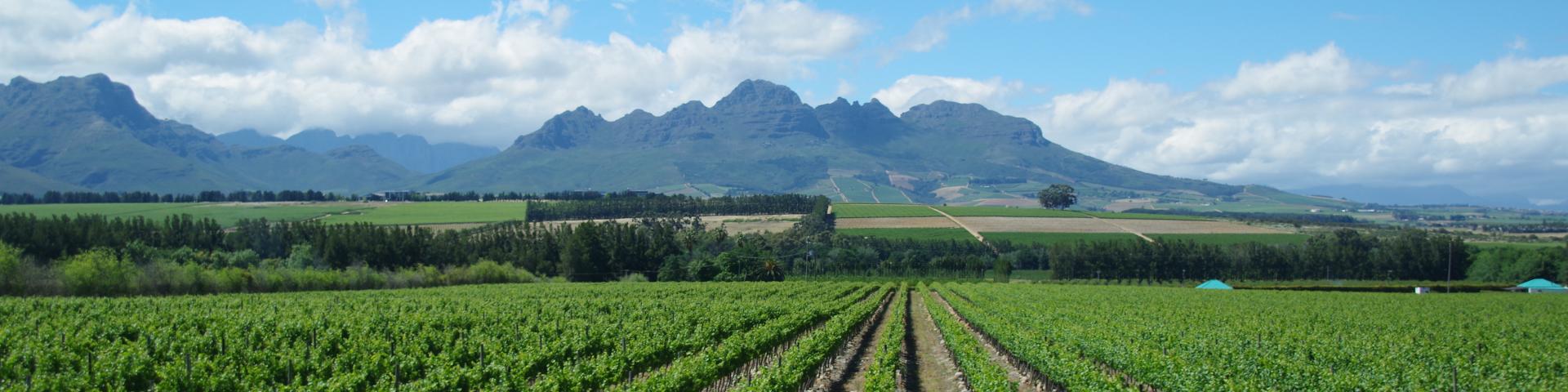 Onder-Papegaaiberg, Western Cape, South Africa